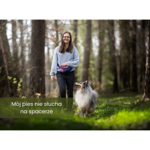 Mój pies nie słucha na spacerze