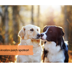 Analiza psich spotkań