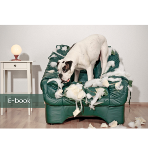 Problemy separacyjne - gotowe protokoły ćwiczeniowe.